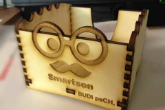 smartson_600