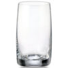 Čaša Crystal Bohemia PAVO TUMBLER 250 ml (6/1)